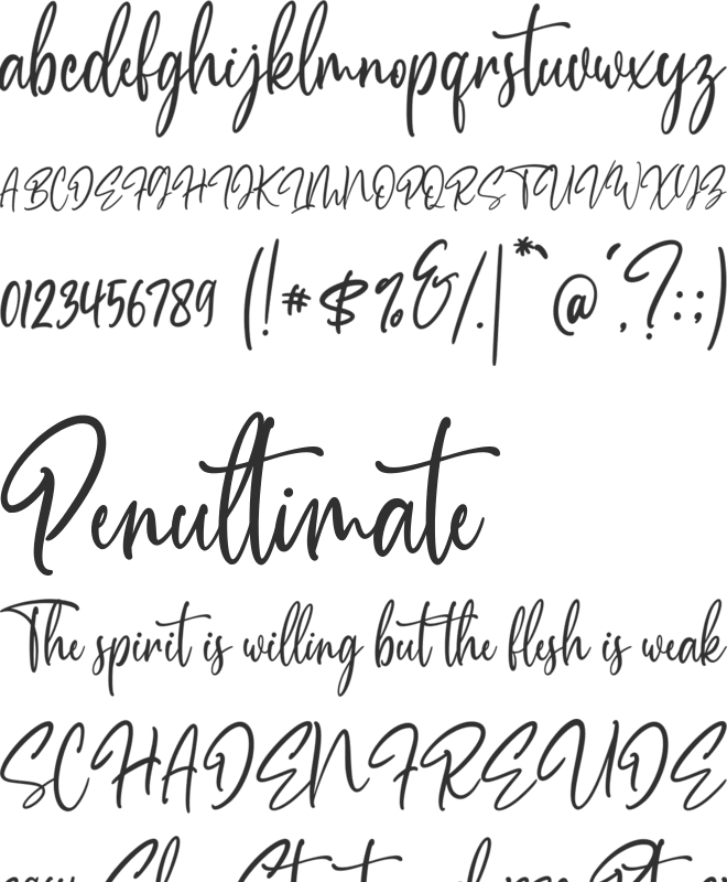 Chronicle font preview