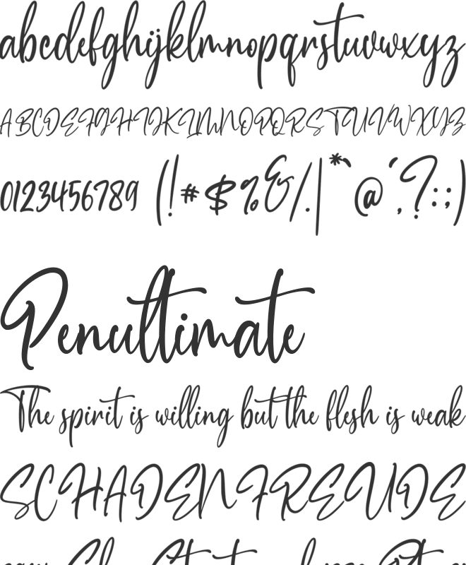 Chronicle font preview