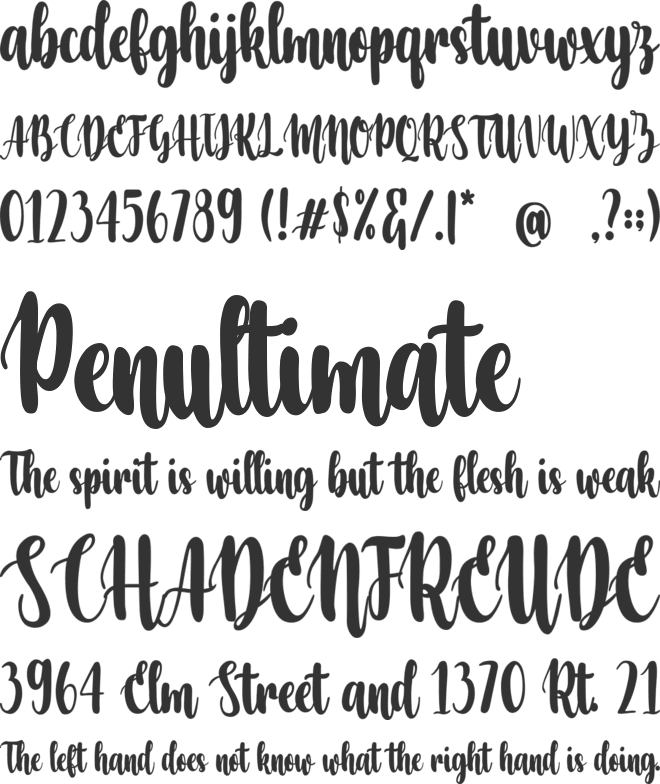 Vilanova font preview