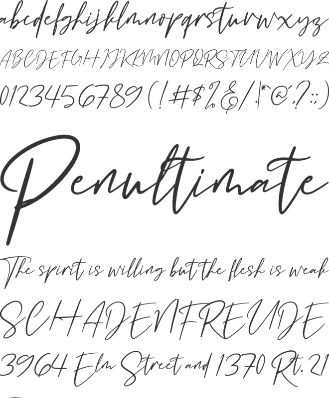 Buffalo City font preview