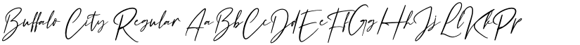 Buffalo City Regular font