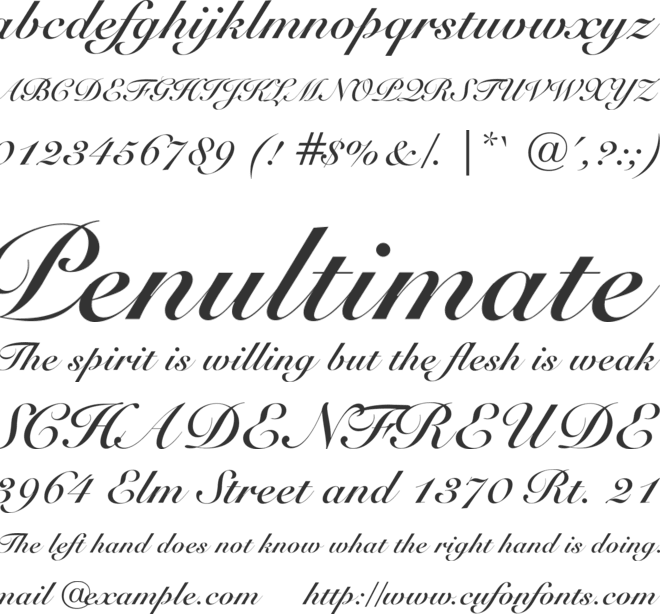 Snell Bd BT font preview