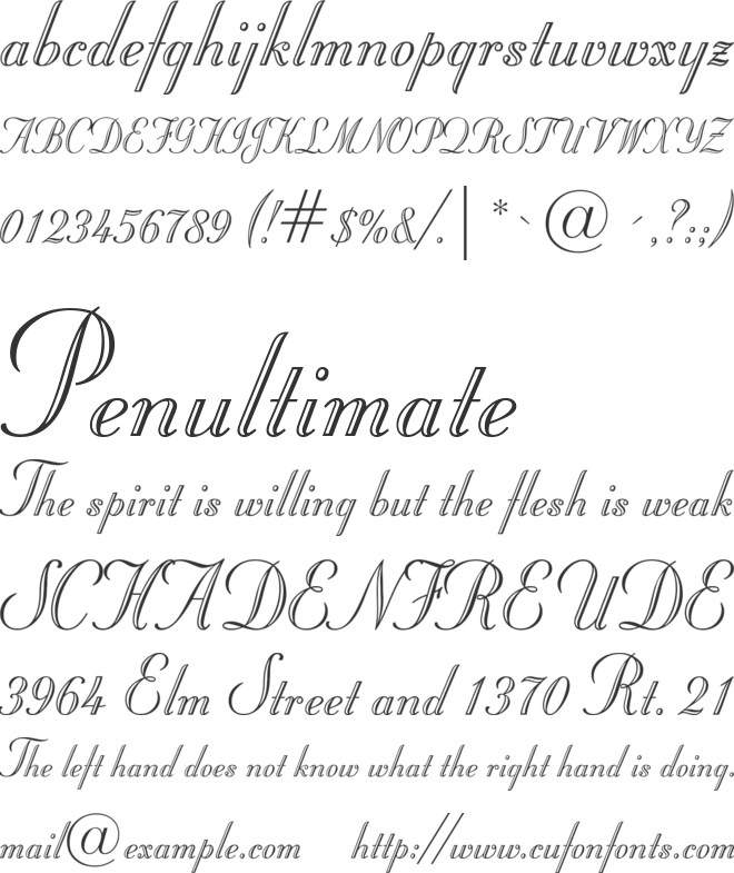 Stuyvesant BT font preview