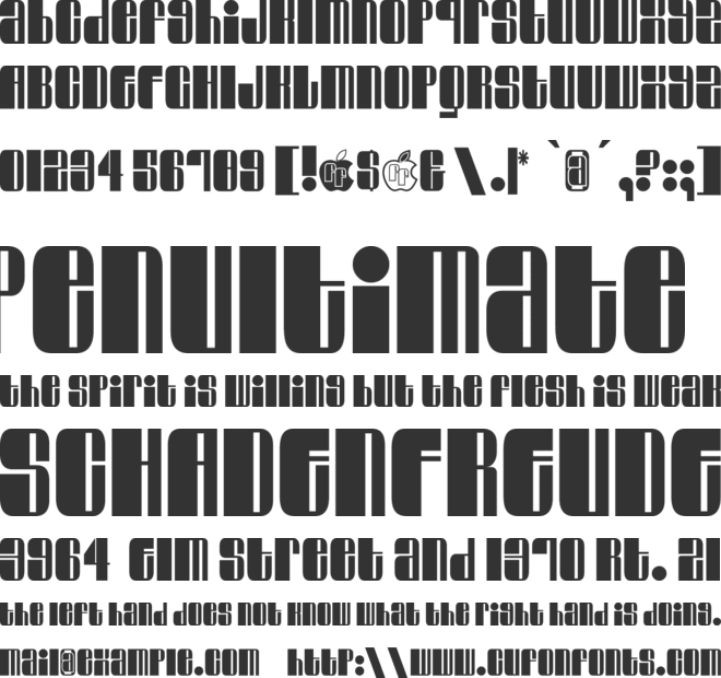 Swinger font preview