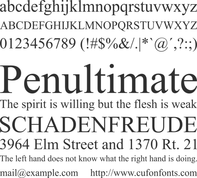 Times New Roman font preview