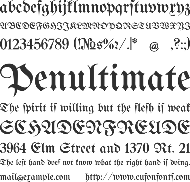 Bertholdr Mainzer Fraktur font preview