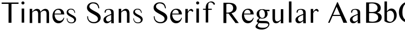 Times Sans Serif Regular font