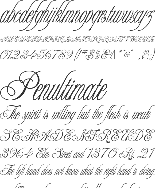 TR Alexei Copperplate font preview