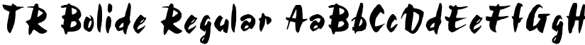 TR Bolide Regular font