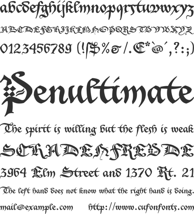 Xenippa font preview