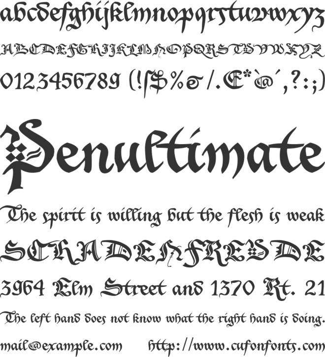 Xenippa font preview