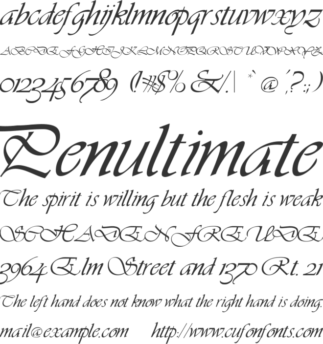 Vivacious font preview