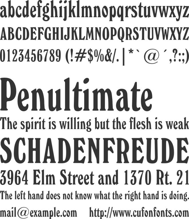 Windsor El BT font preview