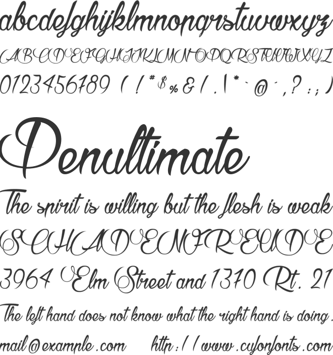 Raisin des Sables font preview