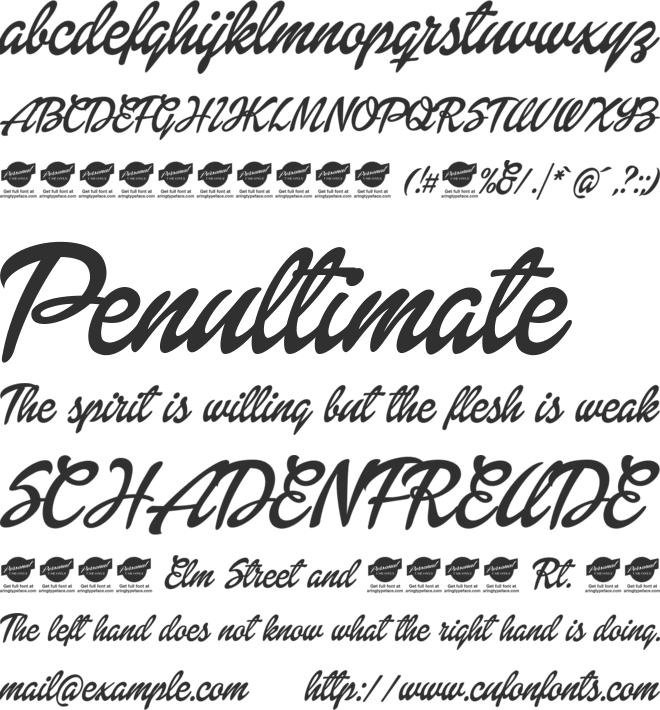 Dollie Script Personal Use font preview