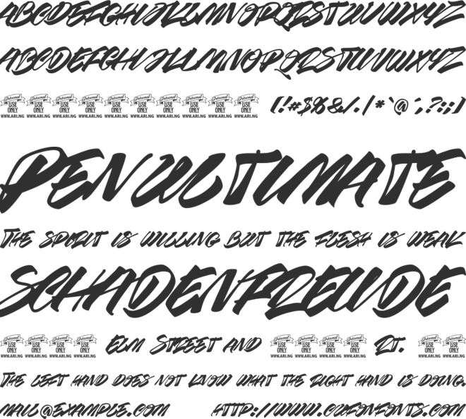 Race Fever Brush PERSONAL font preview