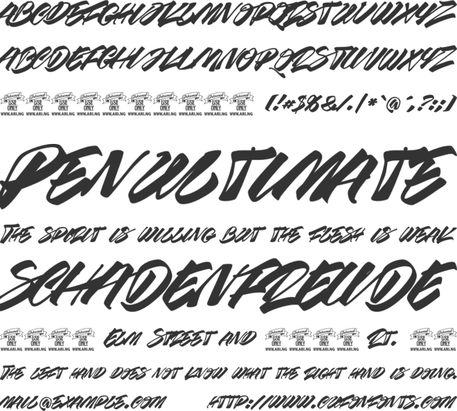 Race Fever Brush PERSONAL font preview