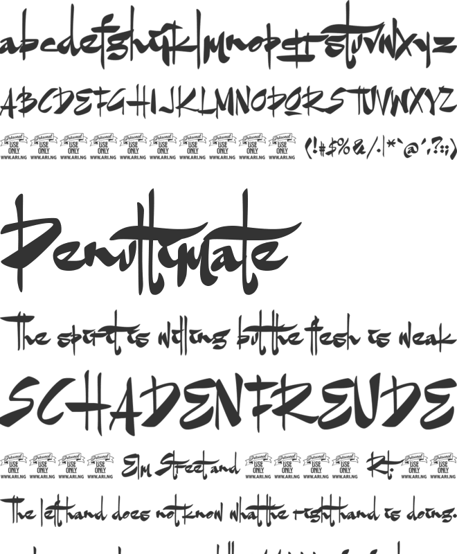 Goatskin Brush Personal Use font preview