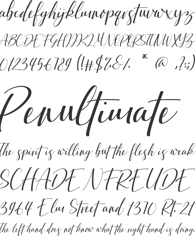 Ardinta font preview