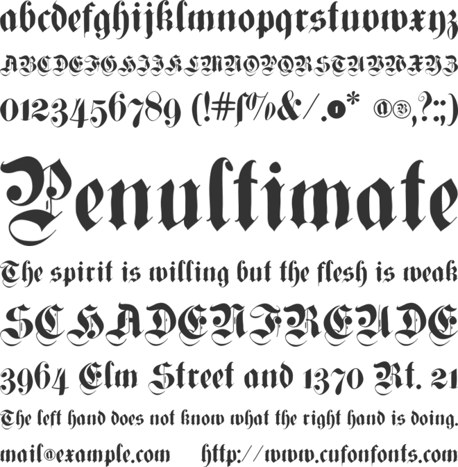 Cuxhaven Times font preview