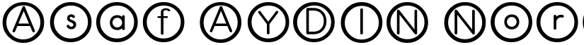 Asaf AYDIN Normal font