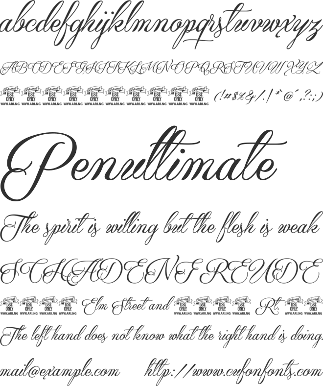 Qaskin Black Personal Use font preview