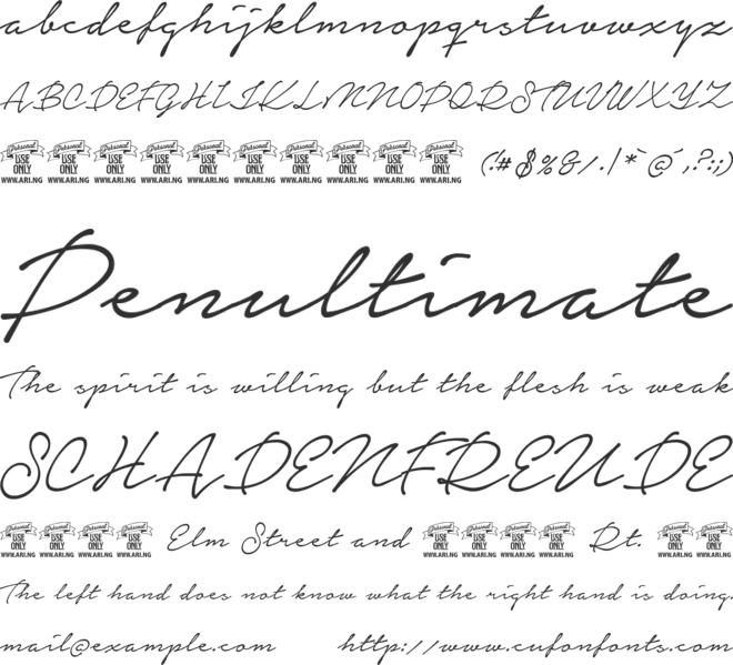 Notera Personal Use Only font preview