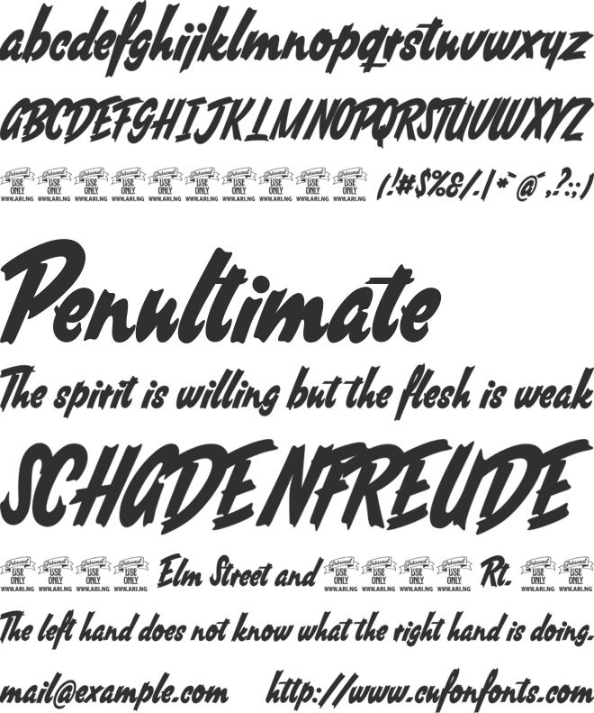 South African Personal Use font preview