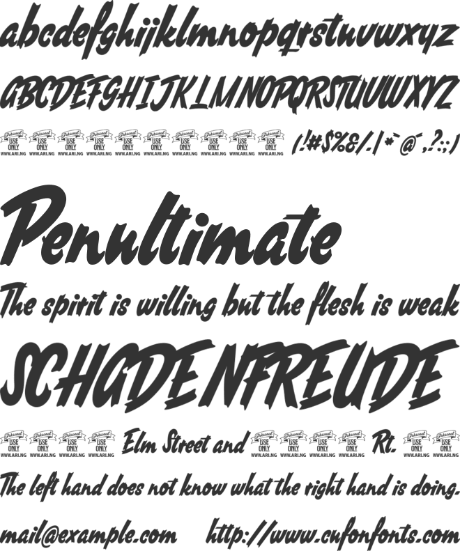 South African Personal Use font preview