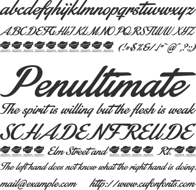 Stainy Personal Use Only font preview