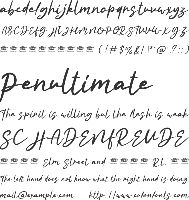 Rhiledia - Personal Use font preview