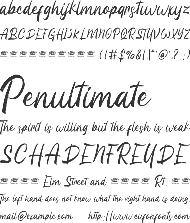 Wild Grook - Personal Use font preview