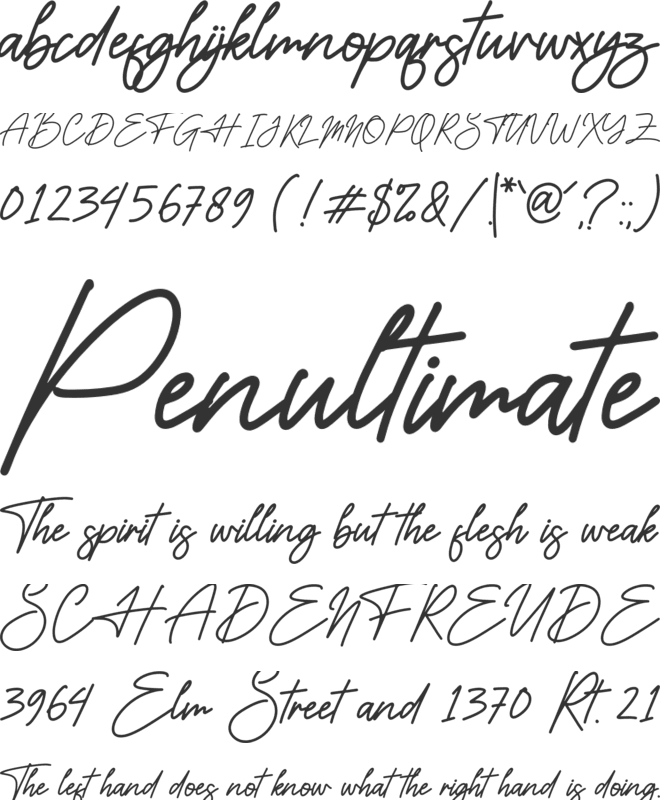 Hestteroid Brilliant font preview