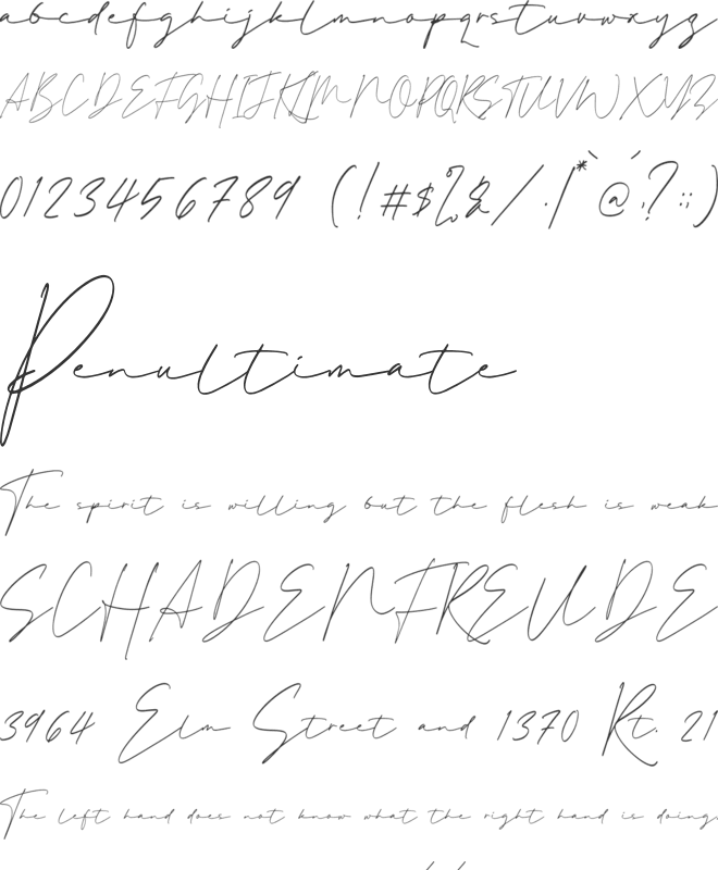 Holiday Mantilda font preview