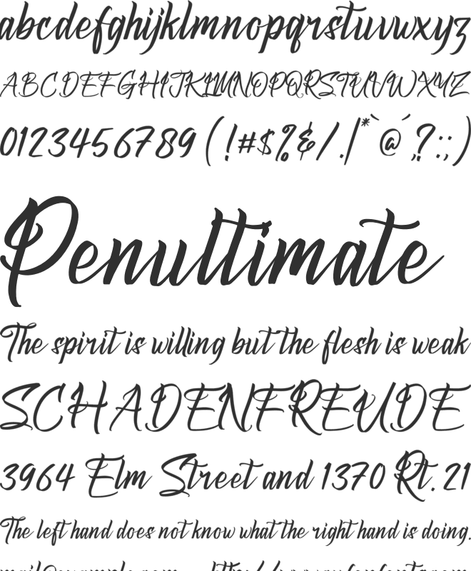 Symphony Calligraphy font preview