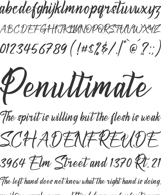 Symphony Calligraphy font preview