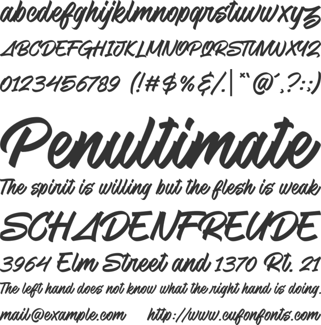 Snooky font preview
