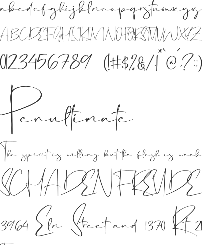 Futuristic Caligraph font preview