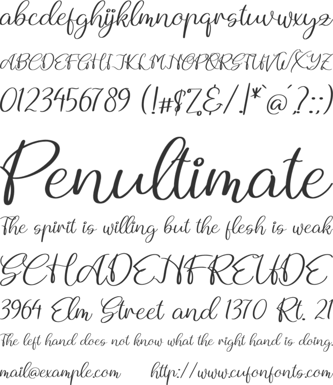 Andytta Selya font preview