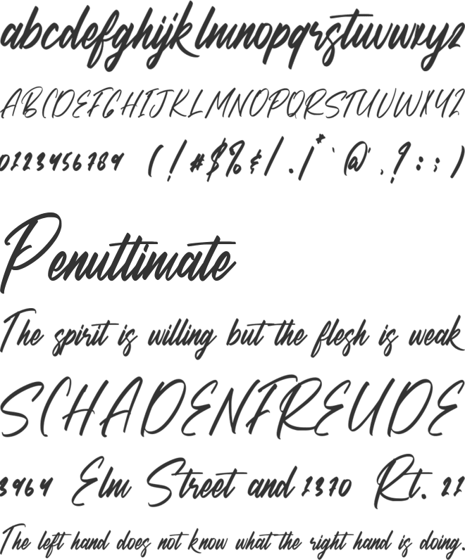 Searchlight font preview