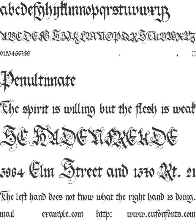 Holyrose Mmidnight Tea font preview