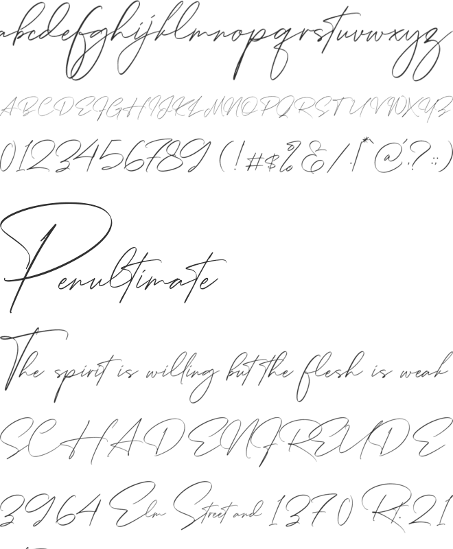 Rotherdam Signature font preview