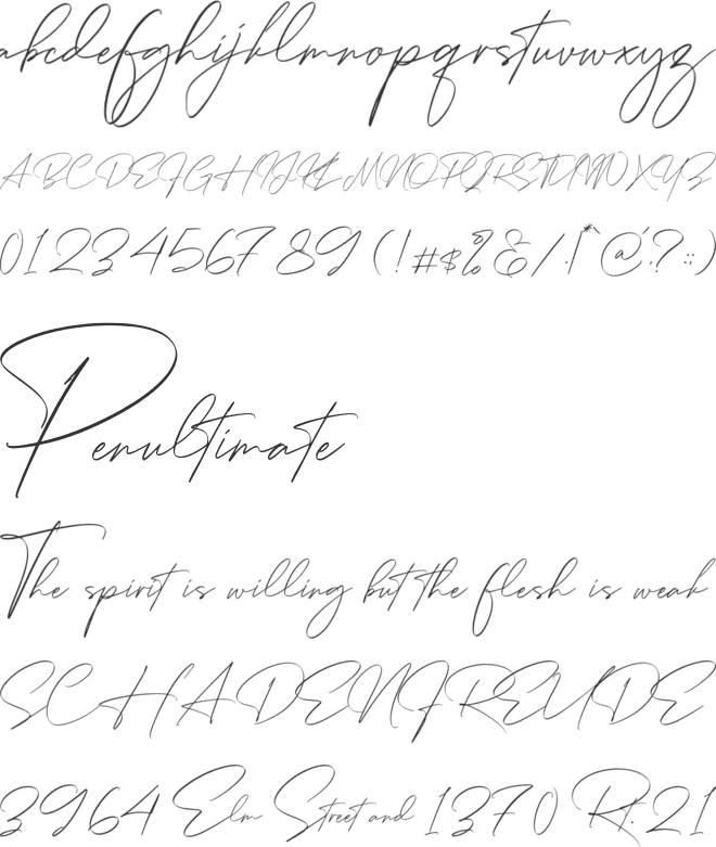 Rotherdam Signature font preview
