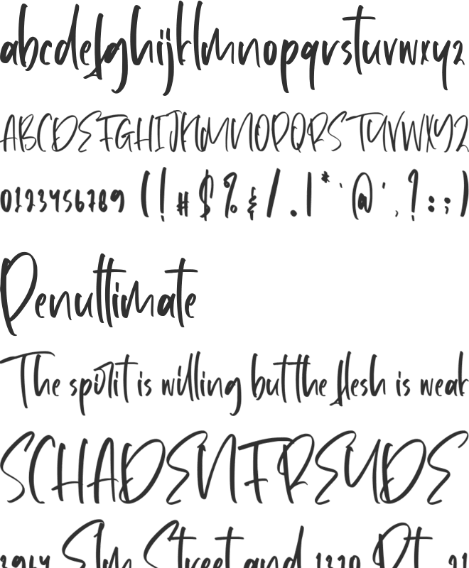 Virginity font preview