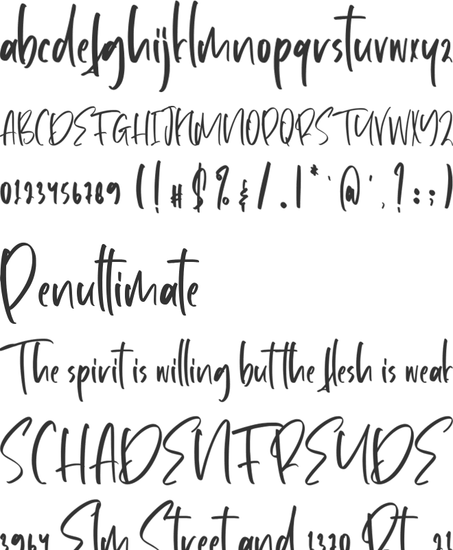 Virginity font preview