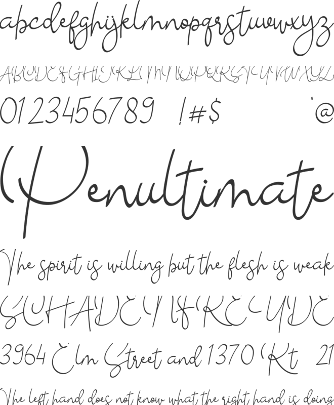 The School font preview