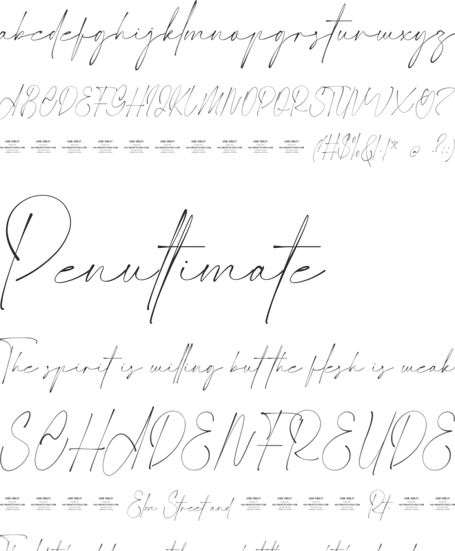 Photograph font preview