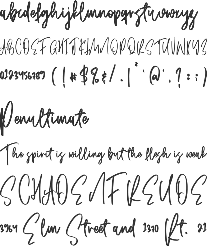 Dayflower font preview