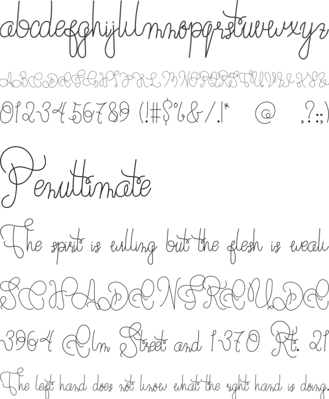 Quantum And Time font preview