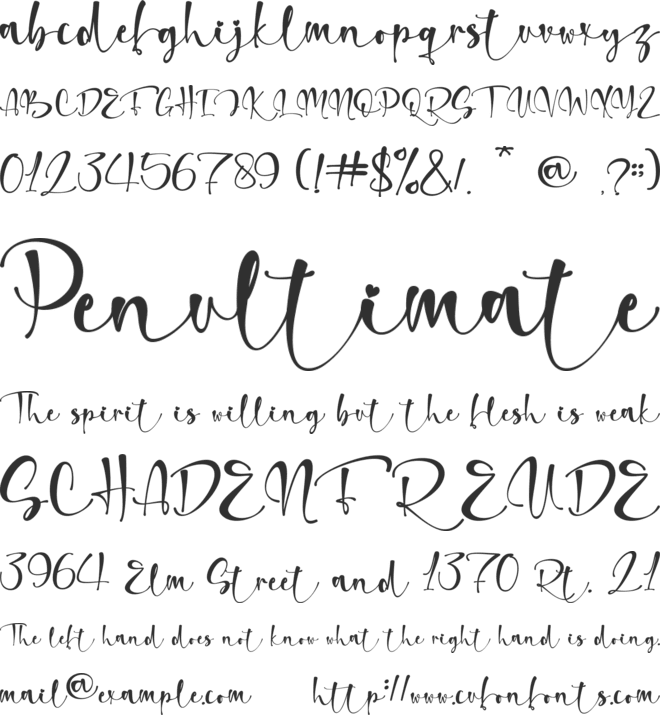 Rossellia - Personal Use font preview